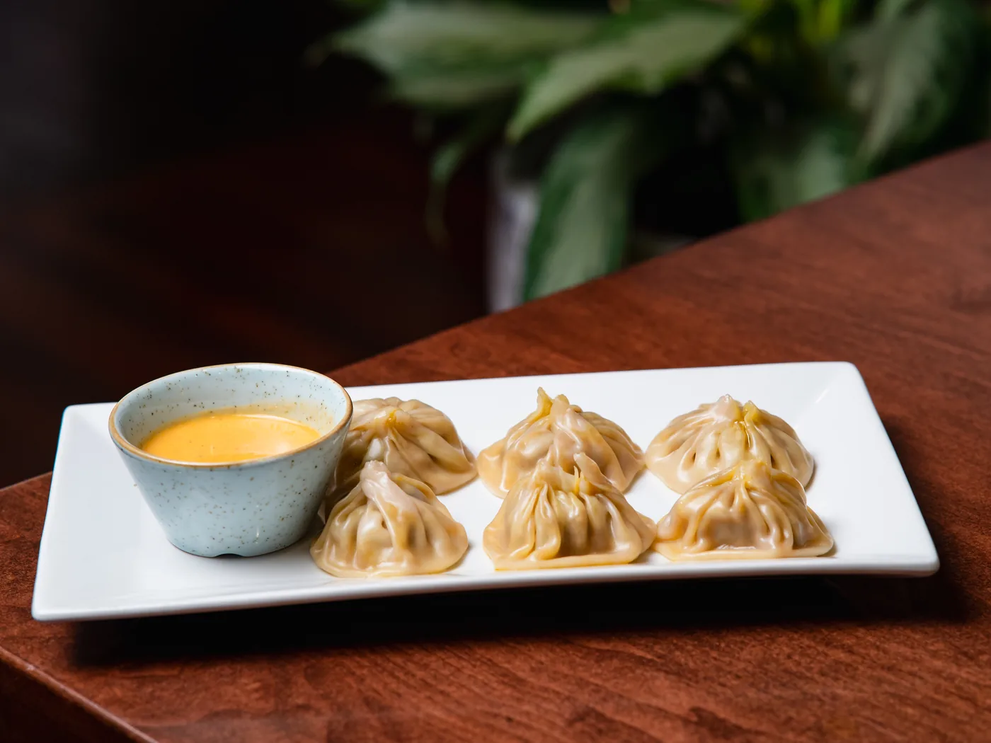 Nepali Momo dumplings at Denver Curry House